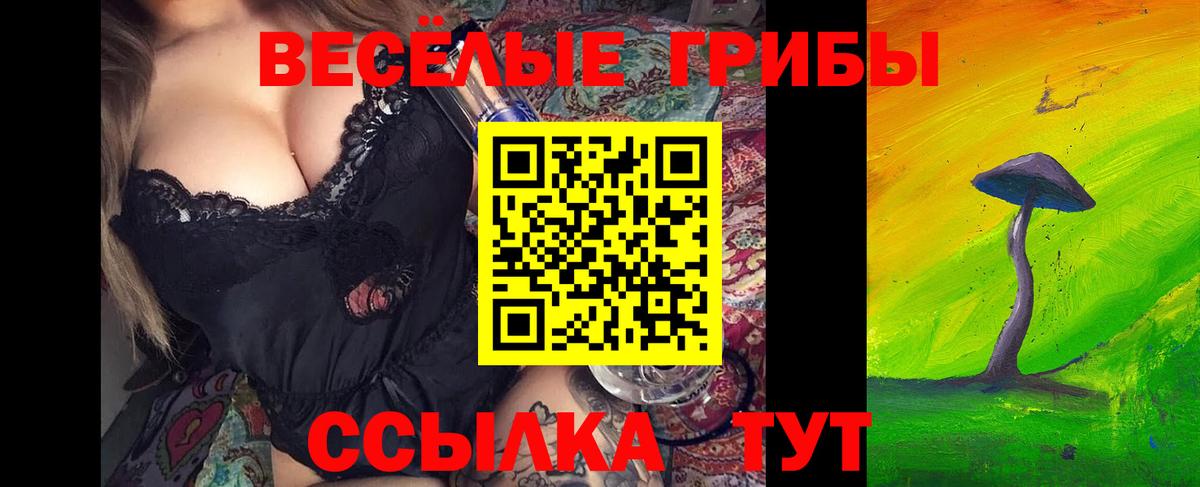 Псилоцибиновые грибы Psilocybine cubensis  Вход с VPN  где продают наркотики  Светлоград 